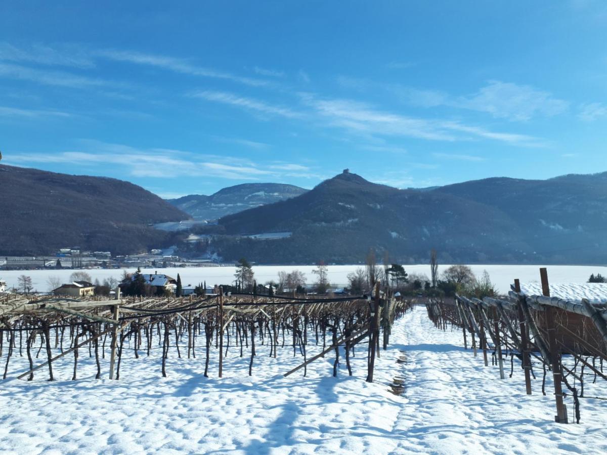 Weingut Weidlhof - Suite & Breakfast - Vacation For Wine Lovers กัลดาโร ภายนอก รูปภาพ